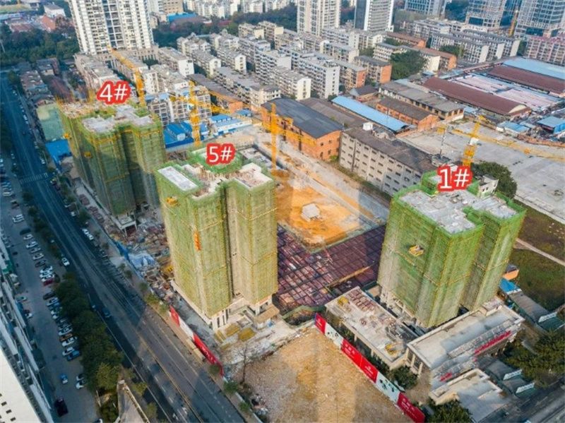 实景图