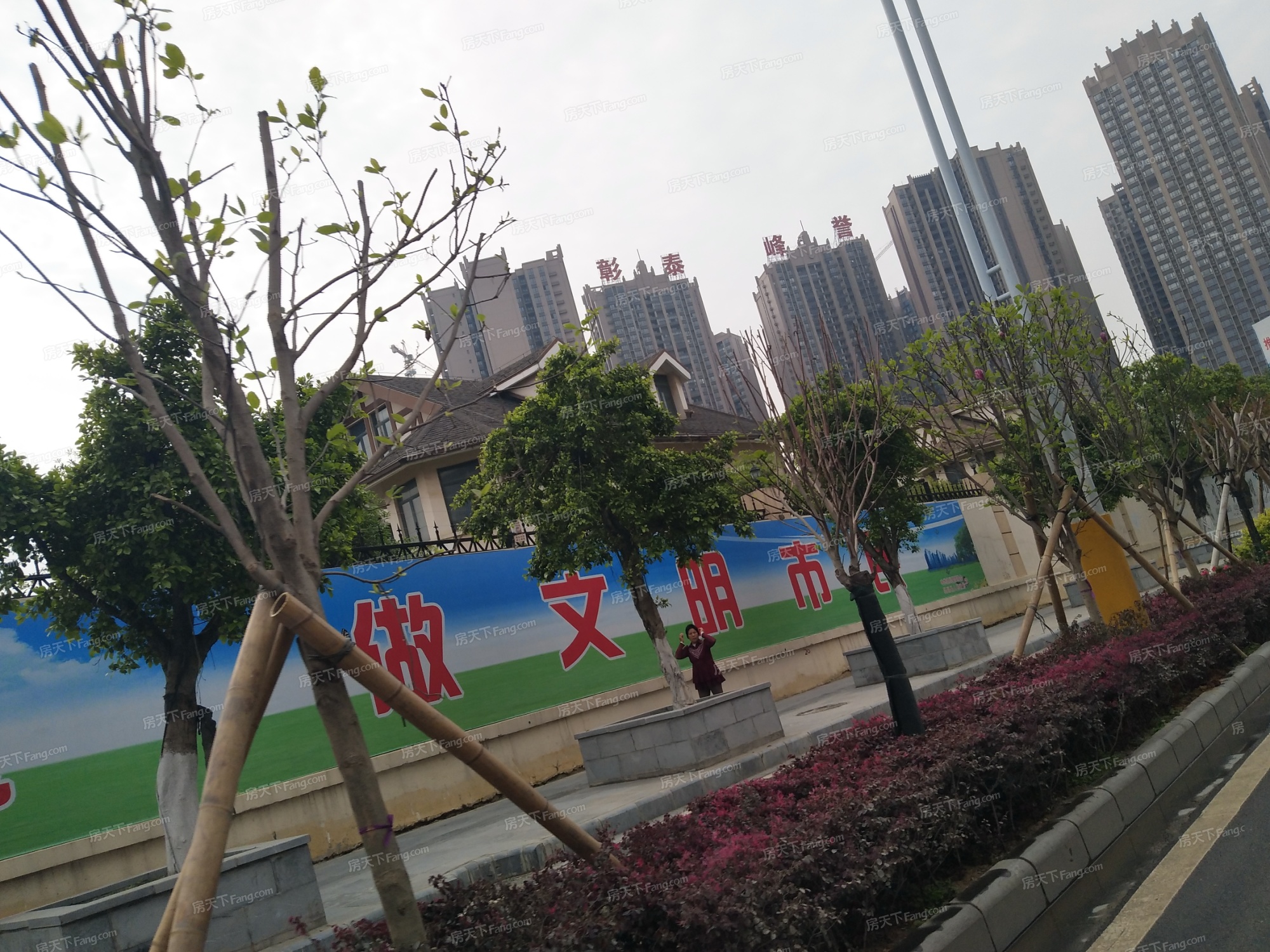 --请选择--